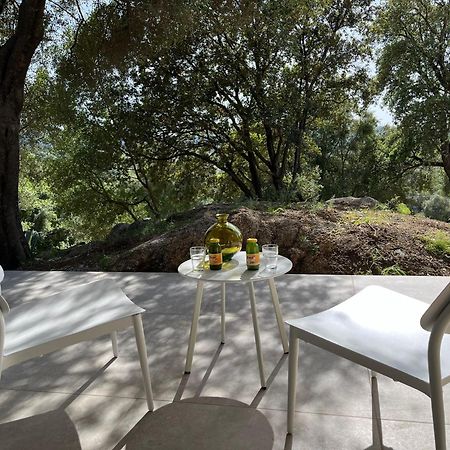 Ferme Casa Pian D'Olmo Ferme Hotel Olmiccia Ngoại thất bức ảnh